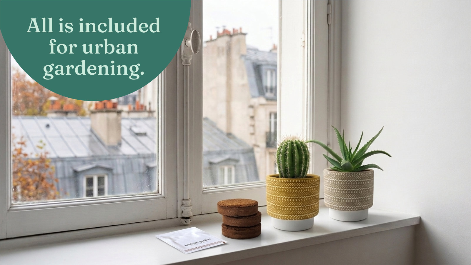 Cactus and aloe vera in small pots on a city windowsill, with a coir disc and seed packet ready to plant