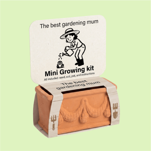 Best Mum seasonal growing kit