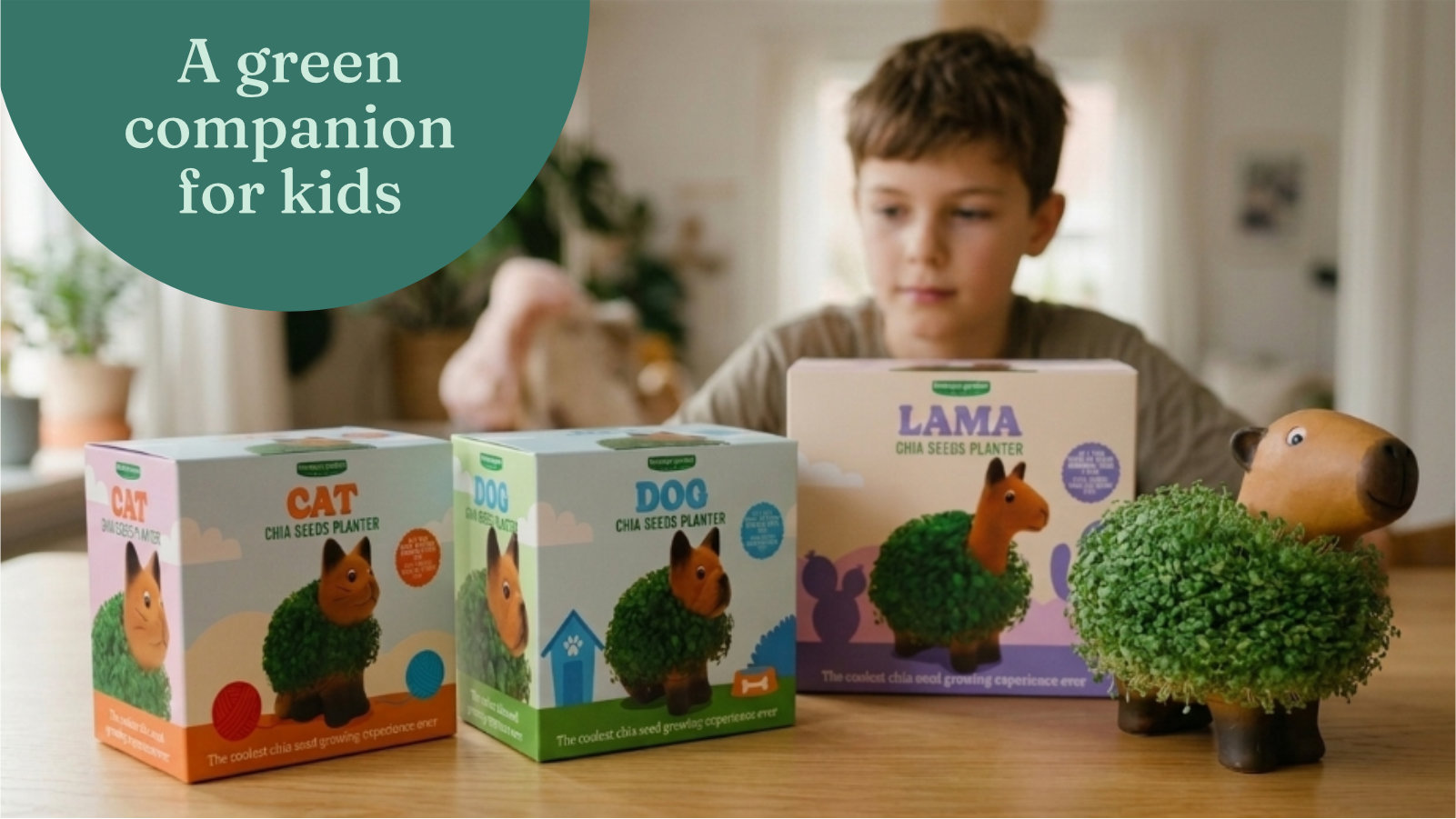 Child with Cat, Dog and Llama chia planter growing kits and a capybara planter covered in green sprouts