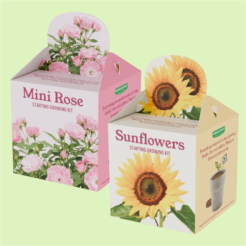 Growing kit gift box