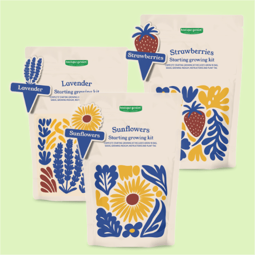 Pouch Spring growing kit