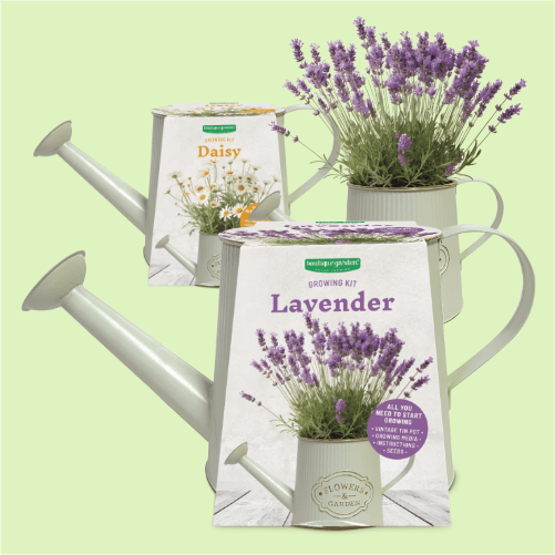 Vintage Watering Can growing kit