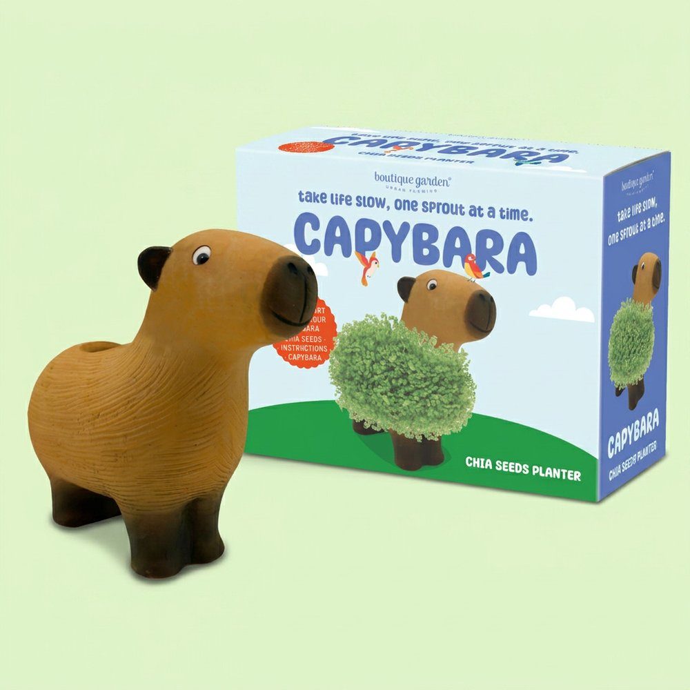 Capybara chia seeds planter growing kit